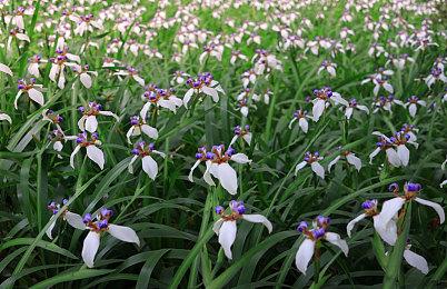 不仅仅是《星空》 《地狱之刃2》或也将登陆多平台